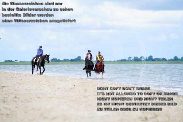 s_K3F05079.JPG